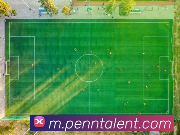 App Interface Preview